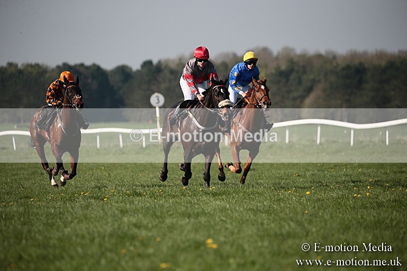 PtP 210418 523 - South & West Wilts Point-to-Point Larkhill 21/04/18