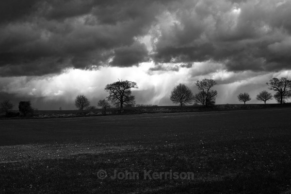  - Black and White