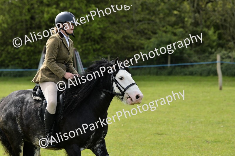 20260426-2283 - Class 20 - Beginner Working Hunter