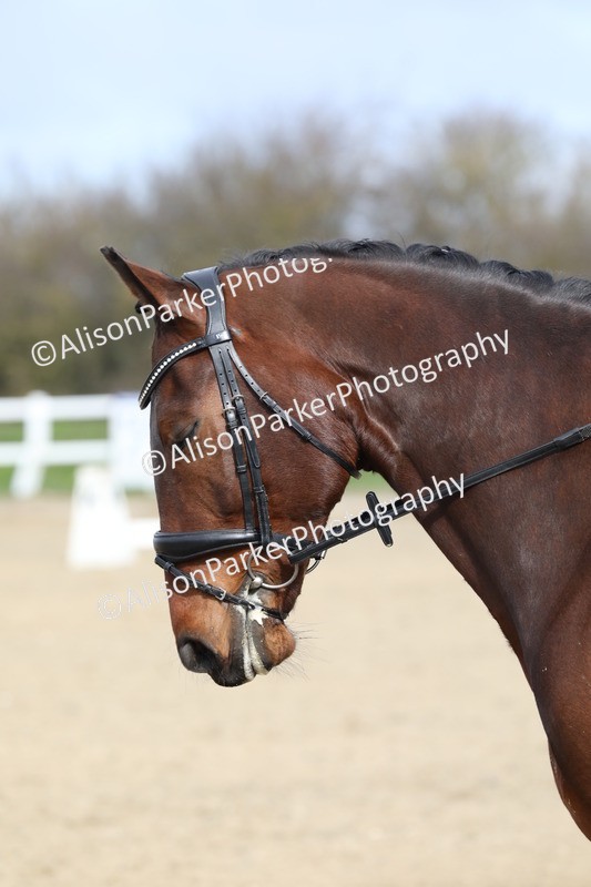 20260314-1883 - CT2 - Prelim 1