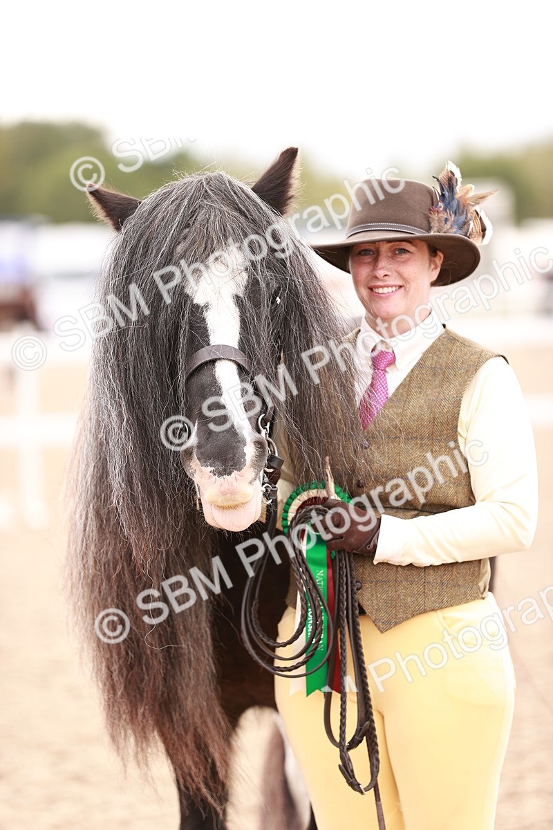 SBM_16374 - Class 413 - Best Condition - Adult