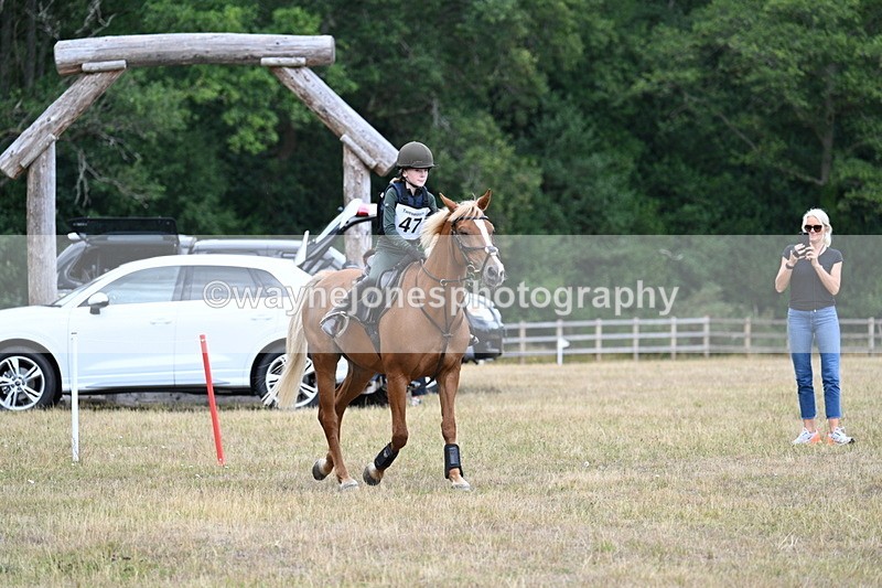 WJ7_1614 - 60cm Time 13:20 to 14:27