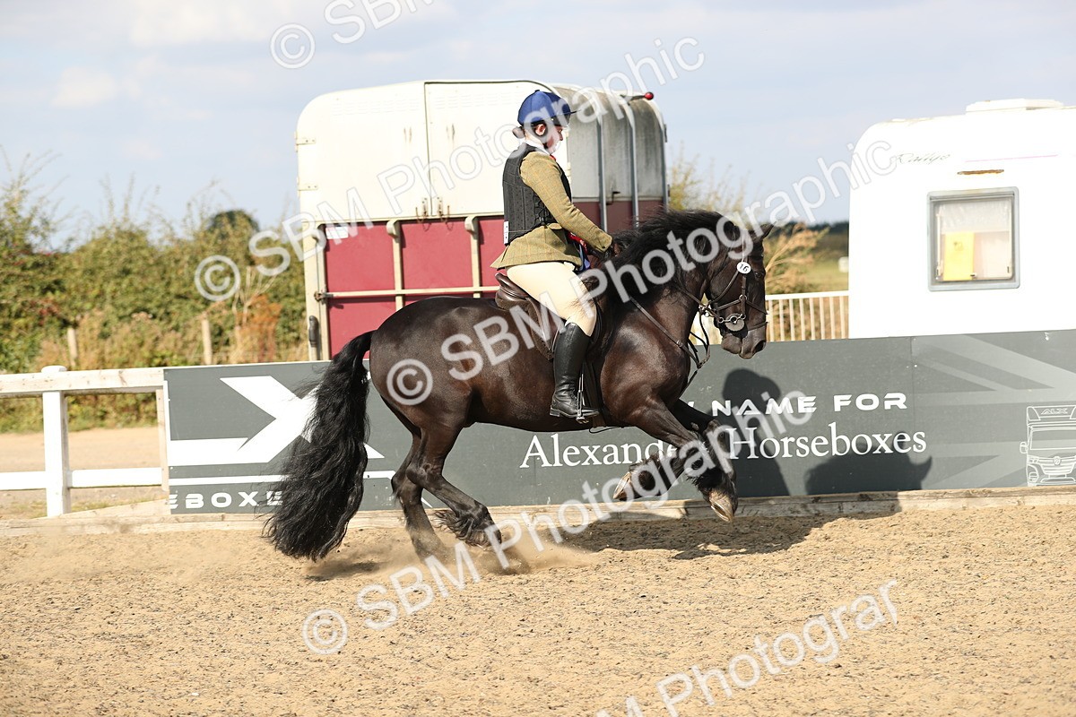 SBM_06938 - Class 49a Style & Performance 80cm (15-19)