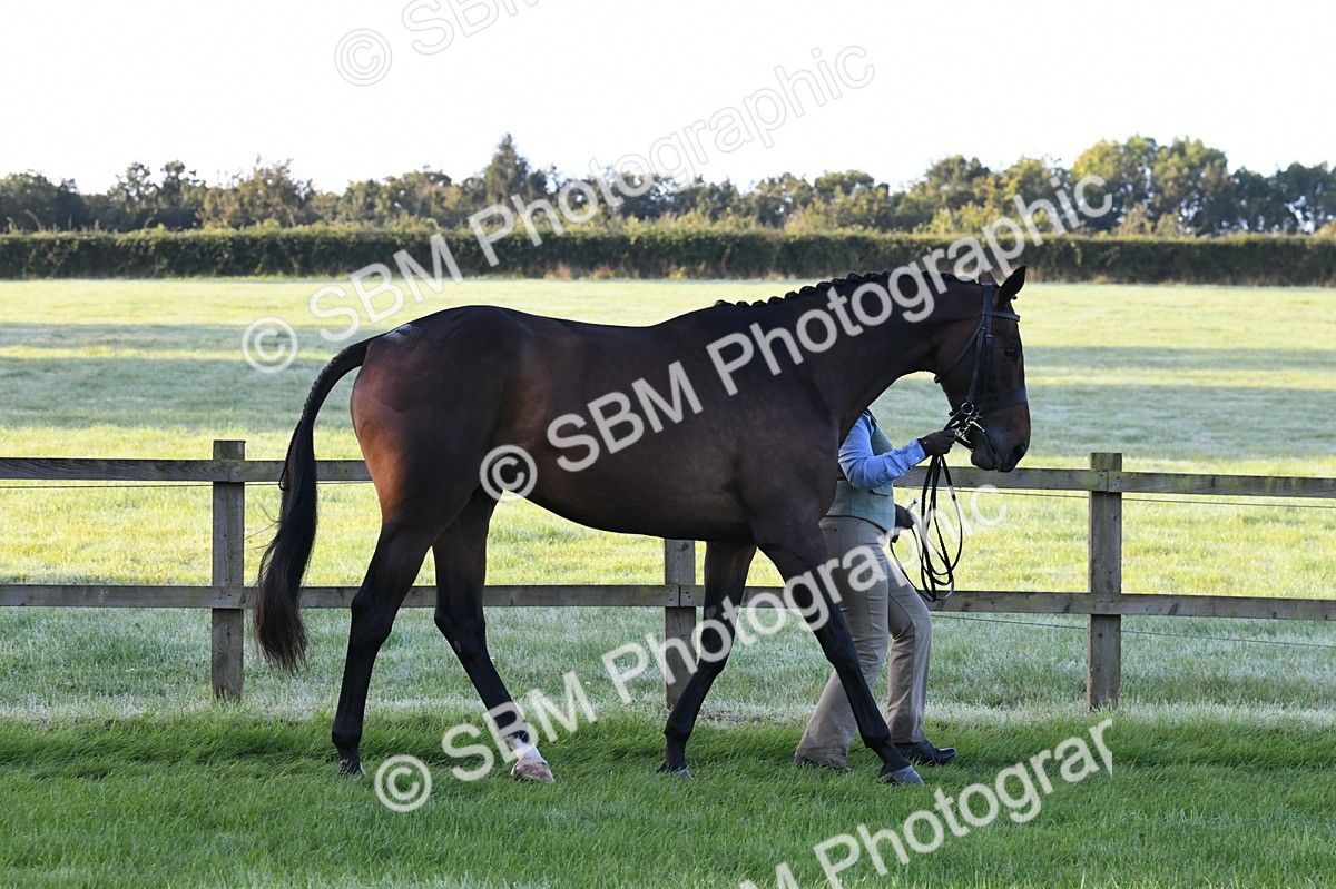 SBM_32618 - S15 - Condition & Turnout In Hand