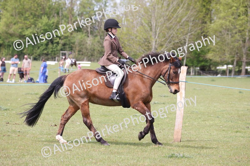 20260426-2981 - Class 33 - Best Pony 14.2hh and Under