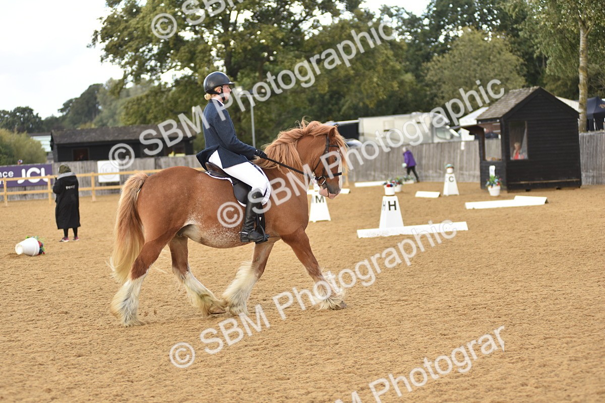 SBM_29629 - D16 -Small Tour Championship Novice 2
