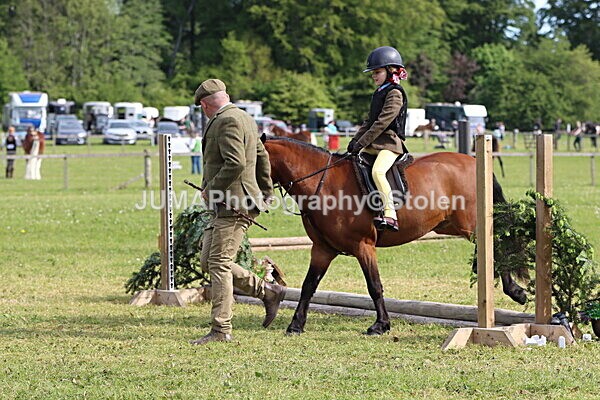 IMG_2171 - Working Hunter