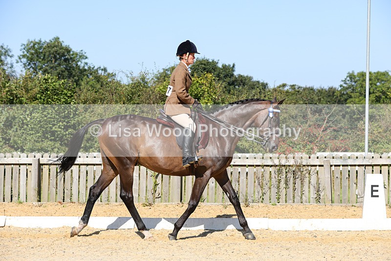 1X9A7847 - Class 10:Riding Horse