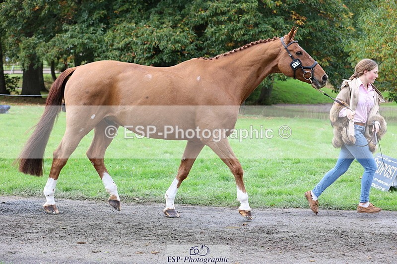 251026A-113828-25582 - G-513-Mimi.van.Ufford