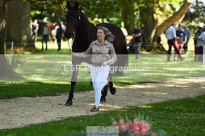 230524-160206-00629 - 209-MONBEG_EBONY-Molly_Fletcher-WEDTrotUp+DR