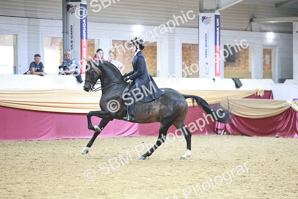 SBM_09081 - Class 12R - Regional Ridden Pre-Vet