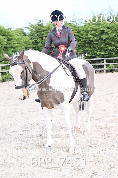 BPP_7451 - RING 1  (RIDDEN HORSES / IN HAND / VETERAN ETC)