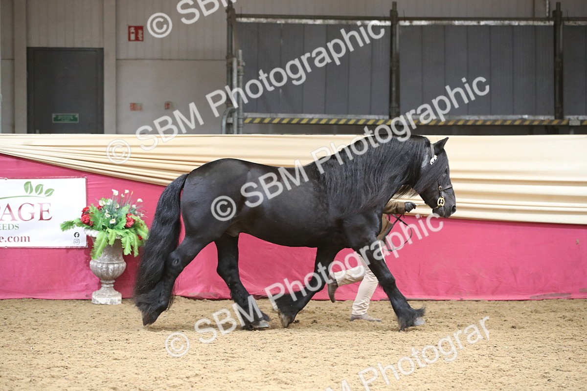 SBM_05290 - Class 8R - Regional IH Veteran