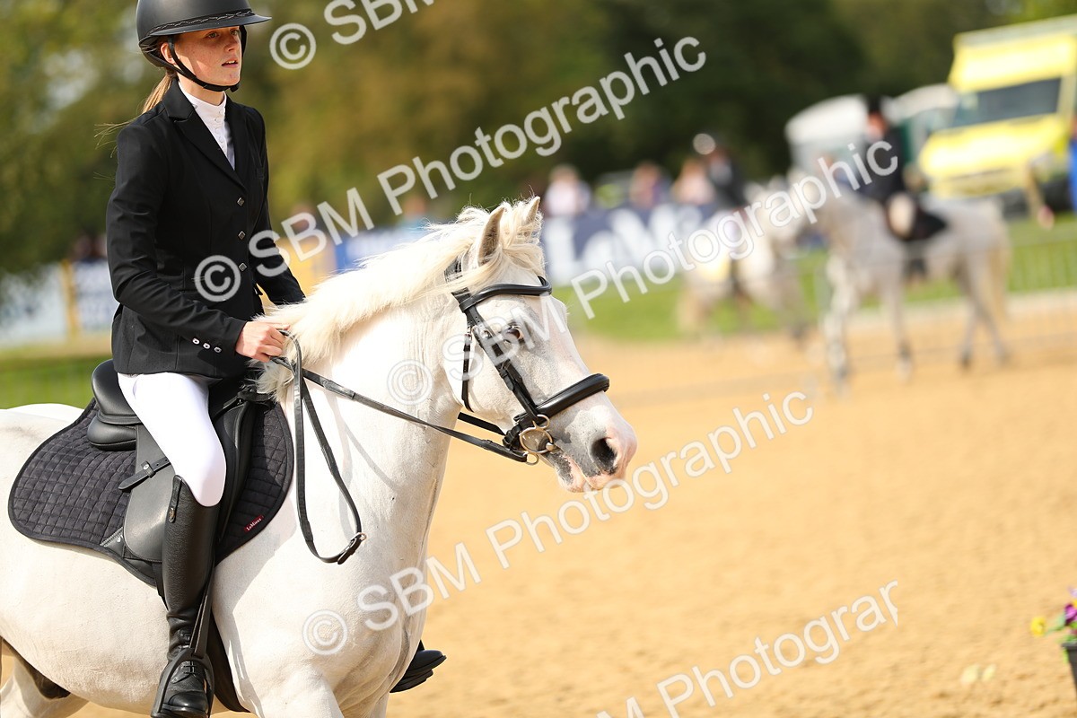 SBM_67268 - J17 - Junior Pony 80cm Championship