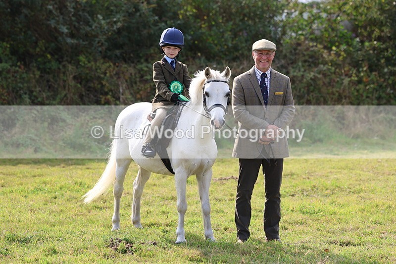 3E7A3782 - Class 2: Lead rein