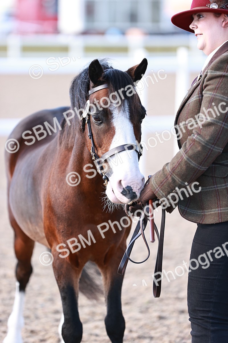 SBM_22712 - Class 704 - IH  Rescue