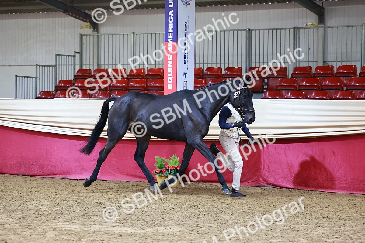 SBM_22219 - Class 902 - Supreme Final - IH Diamond