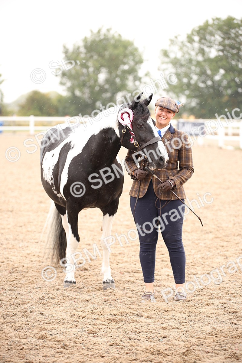 SBM_20230 - Class 703 - IH  Coloured