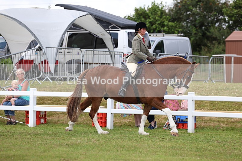 3E7A0519 - Rising Star Ridden Championship