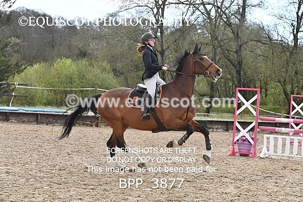BPP_3877 - CLASS 4 FRI Senior Discovery/ 1m Open