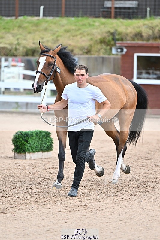 240718A-105308-01615 - Trot Up 1pm to 2pm