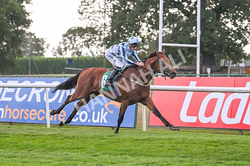 150825-Race 2-Hasbro Market-2539 - Race 2