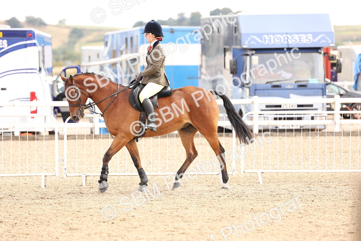 SBM_05116 - Class 56a -  Style & Performance - 50cm (15-19)