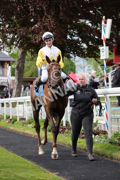 yr11052022r6-27 - Race 6 4.45pm Conundrum HR Consulting Stakes