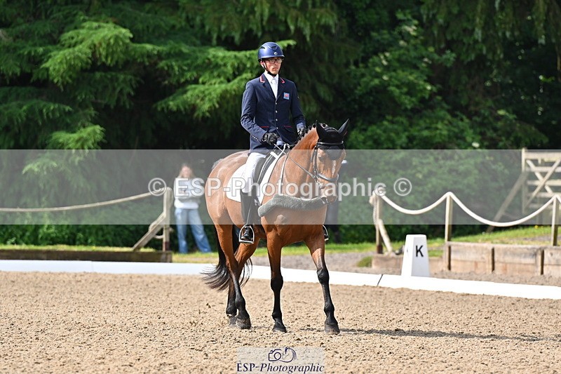 250523A-094303-05326 - C-258-Bill.Levett-ITALIAN.HARLEQUIN.NJ