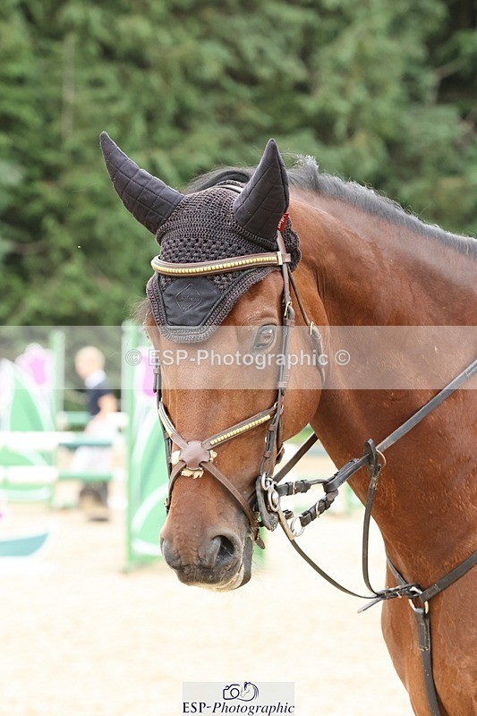 240817-115727-01204 - 03B1.00m Open