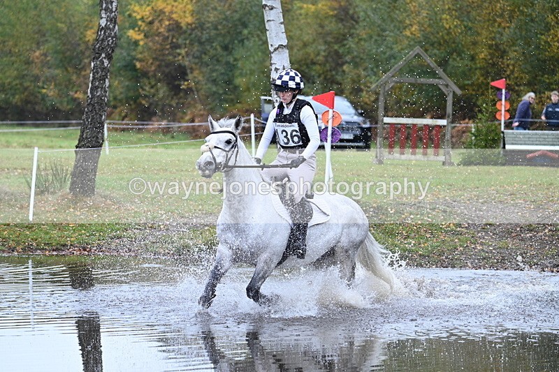 WJ7_0812 - 80cm Cam 2 Water Time 11:08 to 11:28