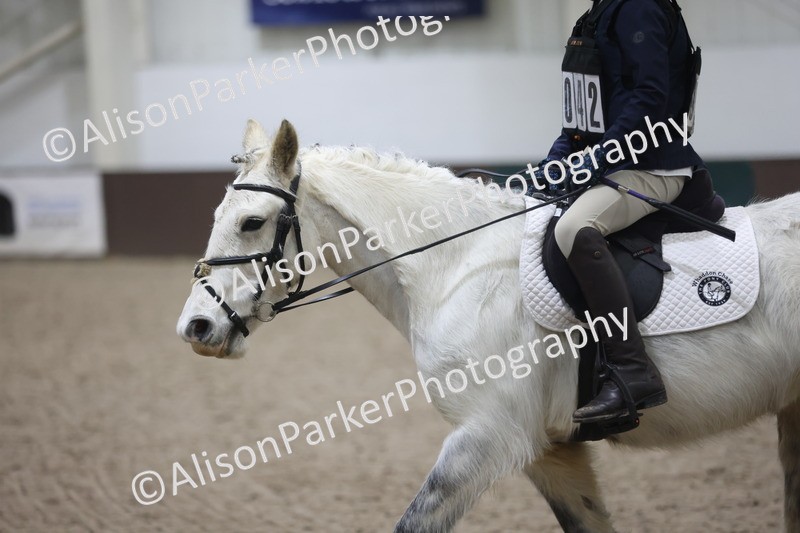 20260125-1269 - Class 2 - 50cm