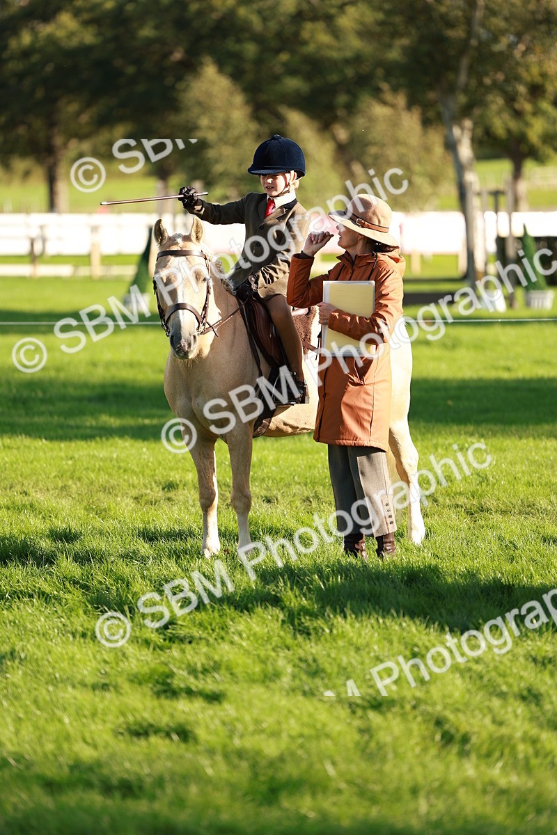 SBM_28750 - S7 - Novice & Newcomer Ridden Pony