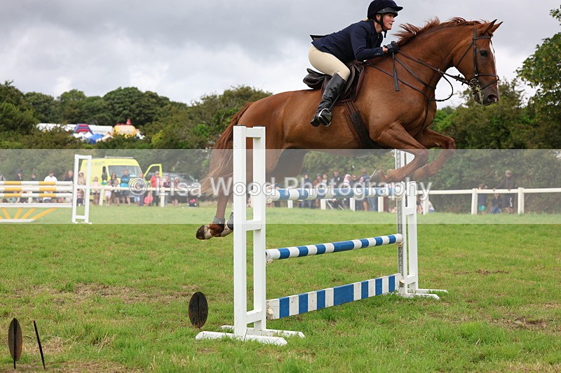 3E7A8601 - Class 8: Senior Foxhunter/1.20m open