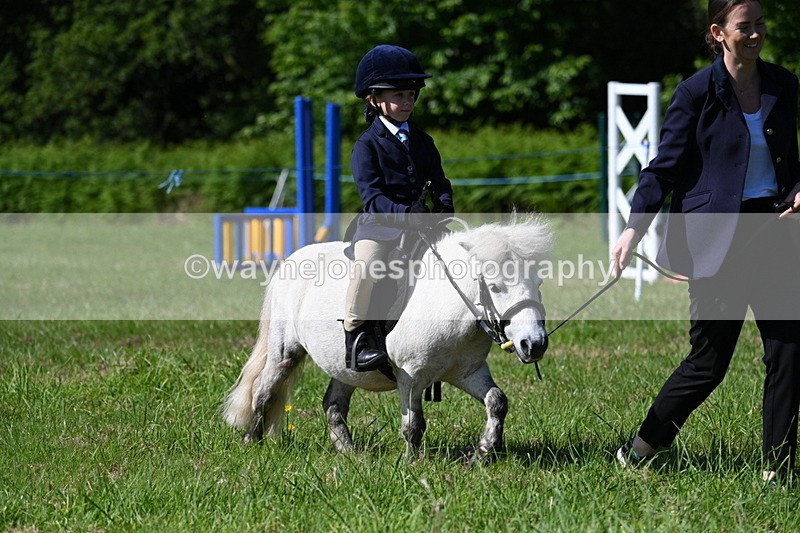 WJ7_0554 - Class 8 First Rally Pony