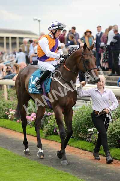 yr04092022r2-17 - Race 2 2.20pm John and Judith Marshall Memorial Stakes