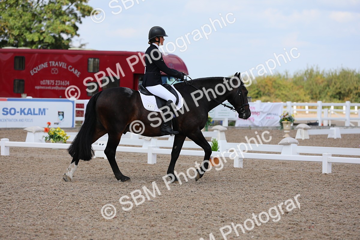 SBM_04068 - Class 31 Prelim 1