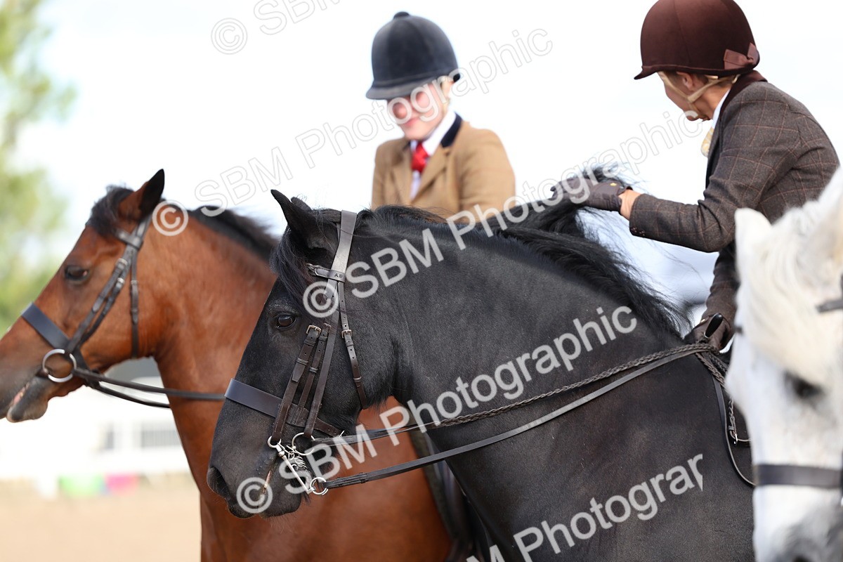 SBM_08960 - Class 302 - Ridden M&M - Large Breeds