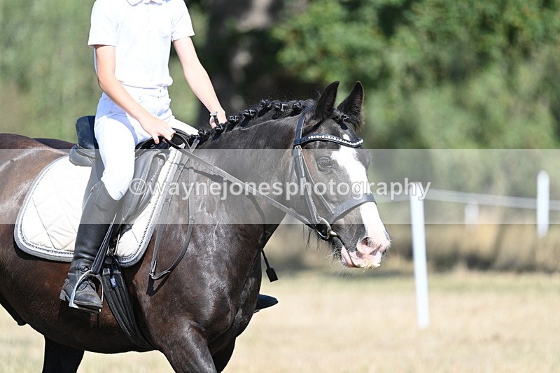 WJ7_9556 - Time 10:32 to 10:55