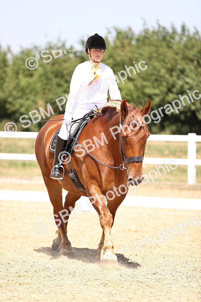 SBM_004134 - Intro 2