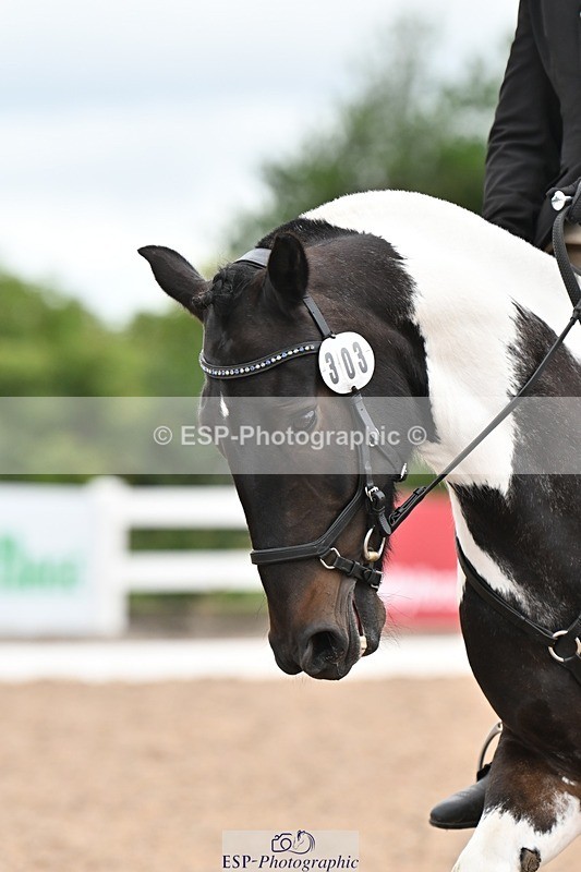 250705-175535-04255 - N2 Section BDNOV2 16.29 to 17.46