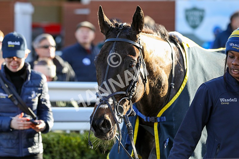 120224-Race 3-Tap N Go Leo-7546 - Race 3