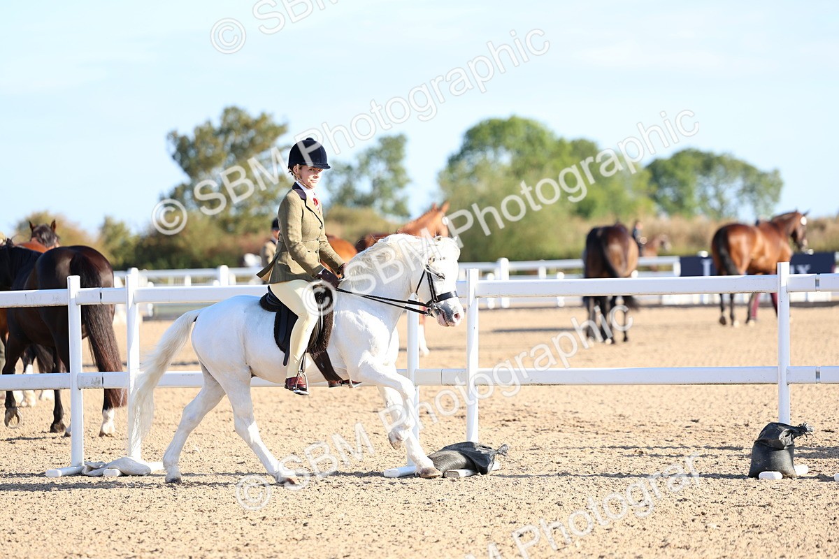 SBM_07795 - Class 301 - Ridden M&M - Small Breeds
