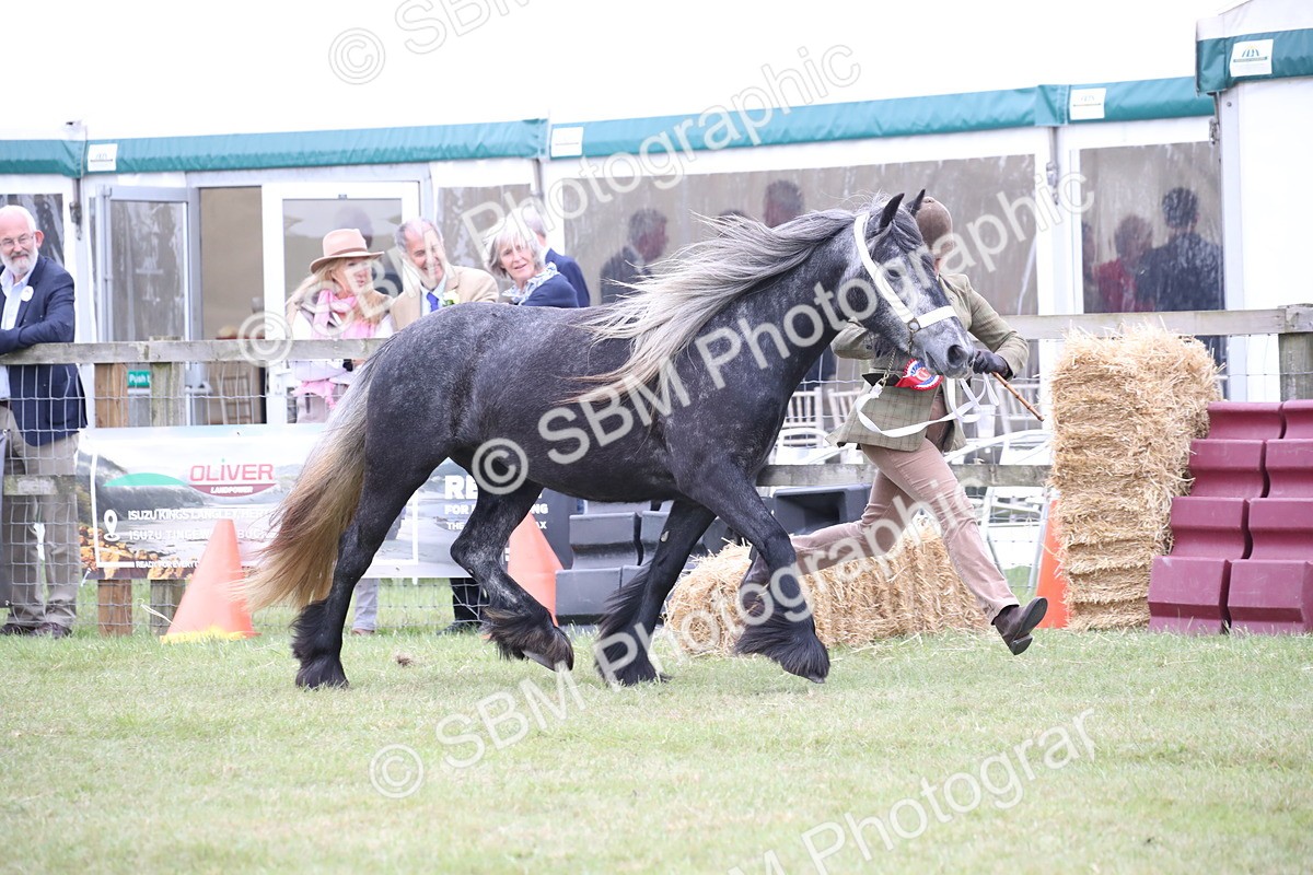 SBM_09794 - Ch 50 - Price Family Supreme In Hand