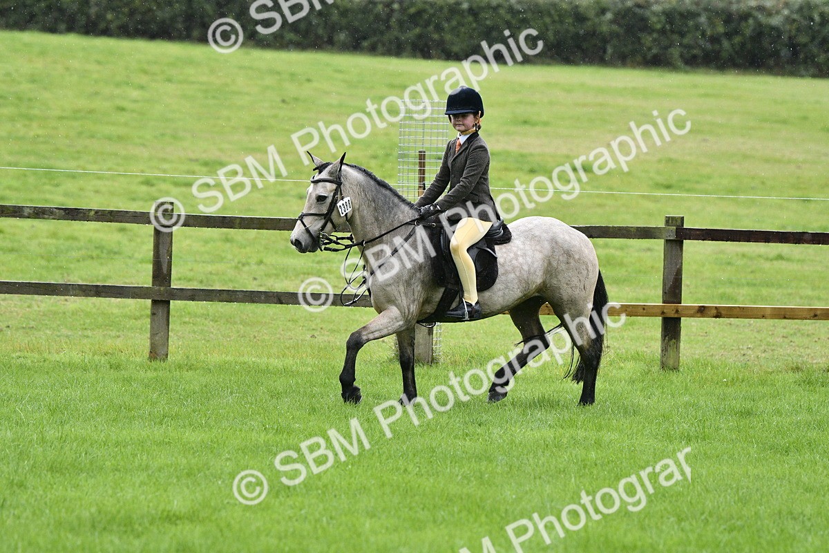 SBM_35545 - S30 - Nursery Stakes Working Hunter Pony