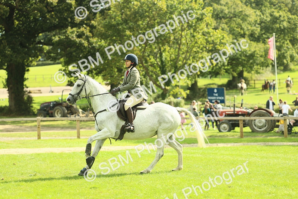 SBM_47912 - S32 - Novice & Newcomers Working Hunter