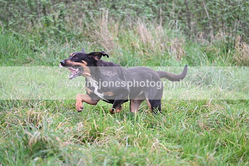 WJ7_8960 - Camera 1 only on this line