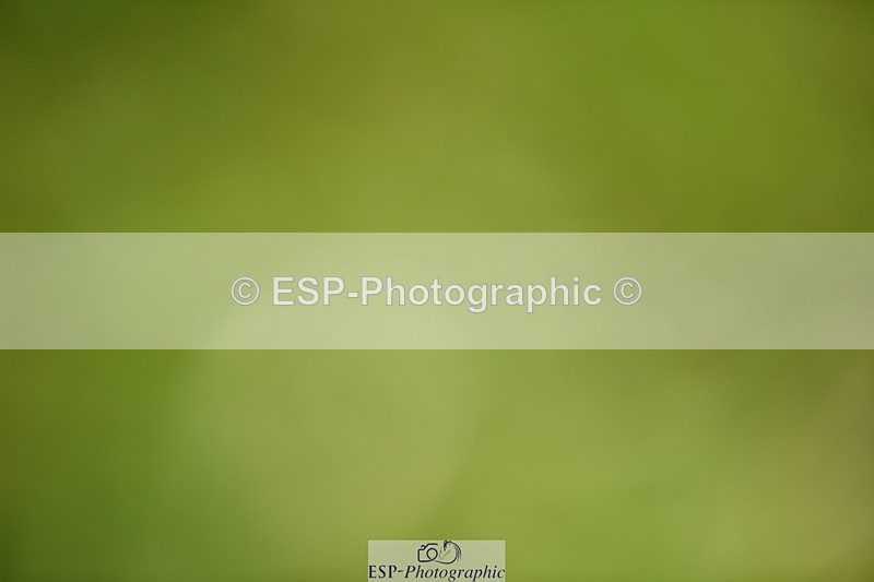 240605-152048-01492 - Cls 7 Medium 61