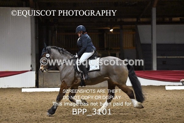 BPP_3101 - ELEM TEST 6