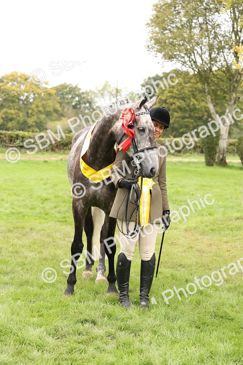 SBM_60878 - In Hand Horse Supreme Championship